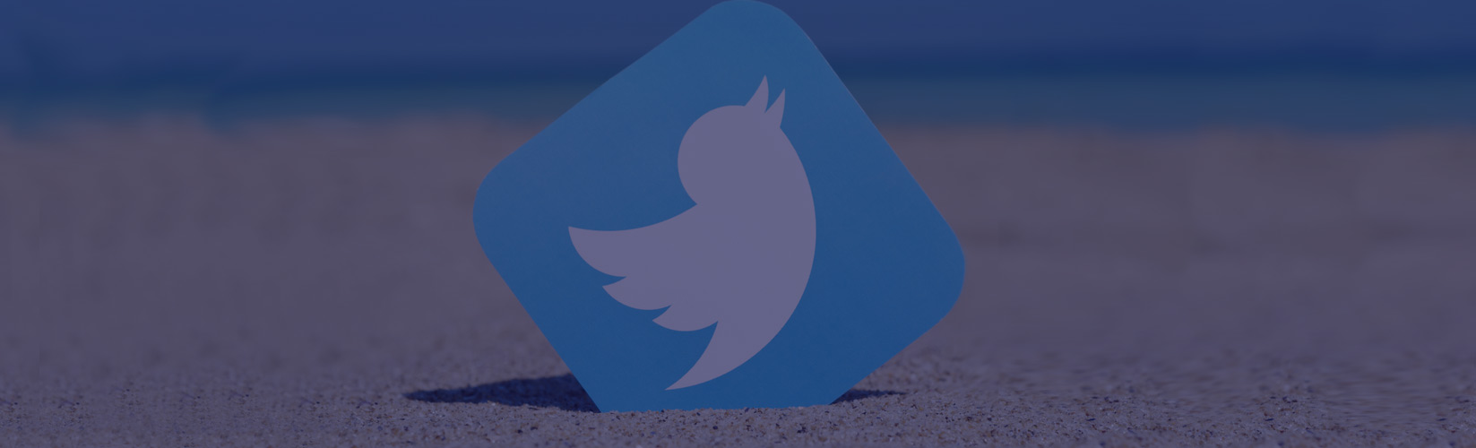 Get Twitter Share Counts Back w/ NewShareCounts - Wired SEO